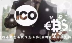 比特币钱包丢失了怎么办