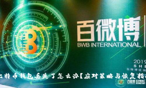 比特币钱包丢失了怎么办?应对策略与恢复指南