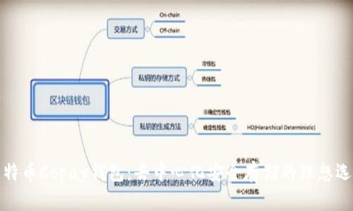 比特币Copay钱包:去中心化安全存储的理想选择