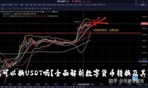 钱包可以换USDT吗?全面解析数字货币转换及其风险