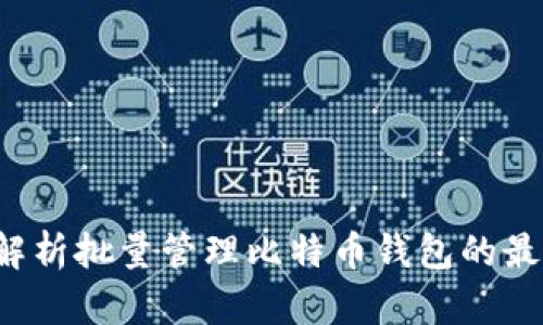 全面解析批量管理比特币钱包的最佳实践
