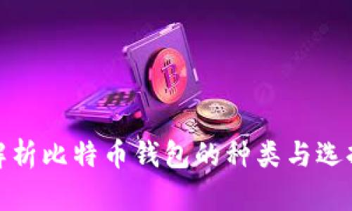 全面解析比特币钱包的种类与选择攻略