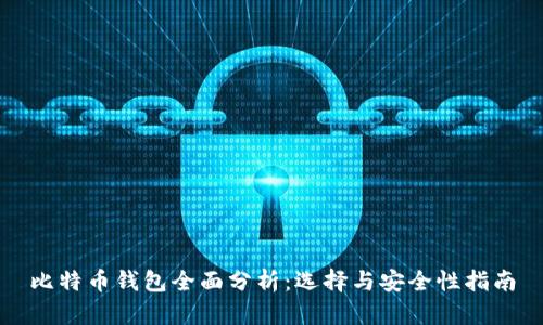 比特币钱包全面分析:选择与安全性指南