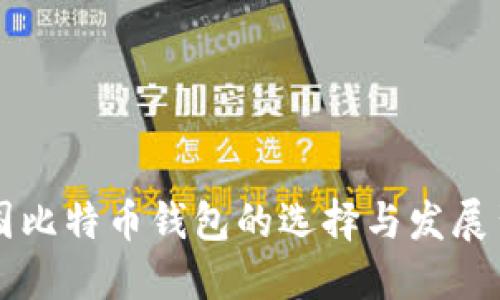 中国比特币钱包的选择与发展背景