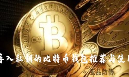 可以导入私钥的比特币钱包推荐与使用指南