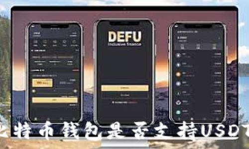 比特币钱包是否支持USDT?