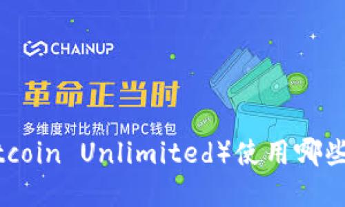 比特无限币(Bitcoin Unlimited)使用哪些数字货币钱包?