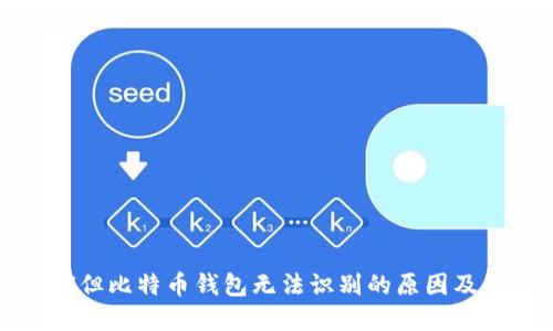 密码正确但比特币钱包无法识别的原因及解决方案