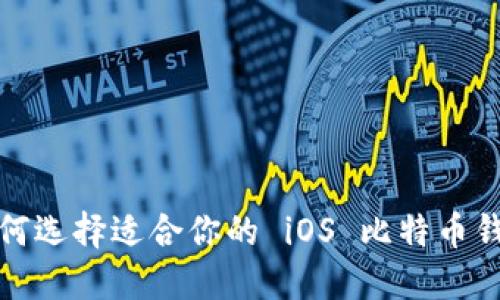 如何选择适合你的 iOS 比特币钱包