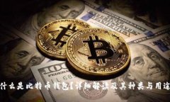 什么是比特币钱包？详细