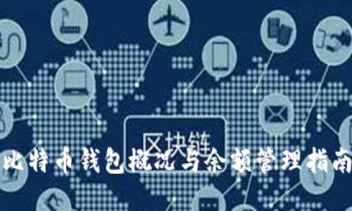 比特币钱包概况与余额管理指南