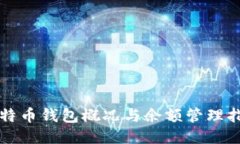 比特币钱包概况与余额管