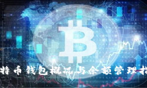比特币钱包概况与余额管理指南