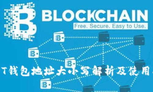 USDT钱包地址大小写解析及使用指南