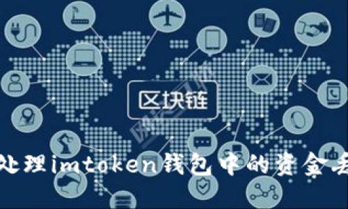 : 如何处理imtoken钱包中的资金丢失问题