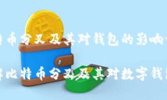 关于比特币分叉及其对钱