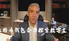 Visa与比特币钱包合作探索