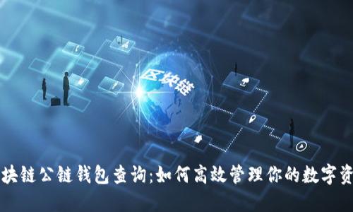 区块链公链钱包查询:如何高效管理你的数字资产