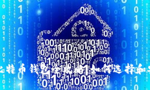 : 深圳比特币钱包全攻略：如何选择和安全使用