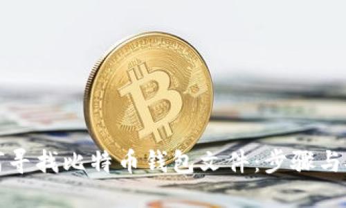 如何寻找比特币钱包文件:步骤与技巧