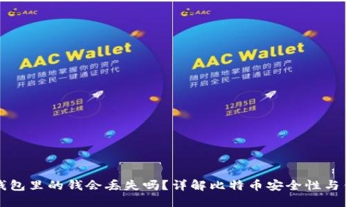 比特币钱包里的钱会丢失吗?详解比特币安全性与钱包管理