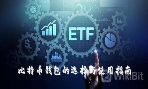 比特币钱包的选择与使用指南
