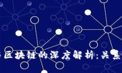 钱包与区块链的深度解析