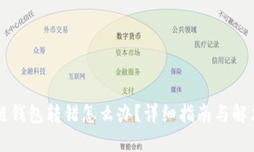 区块链钱包转错怎么办?详细指南与解决方案