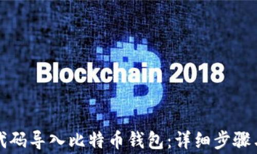 
如何通过代码导入比特币钱包：详细步骤与注意事项