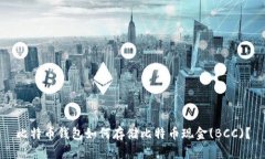 比特币钱包如何存储比特
