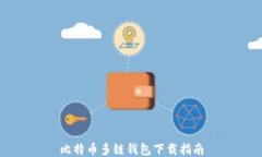 比特币多链钱包下载指南