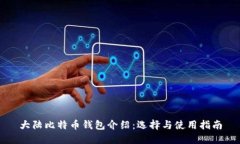 大陆比特币钱包介绍：选