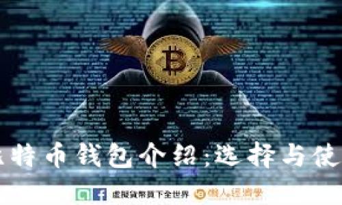 大陆比特币钱包介绍:选择与使用指南