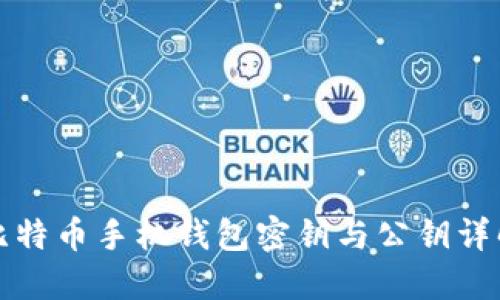 比特币手机钱包密钥与公钥详解