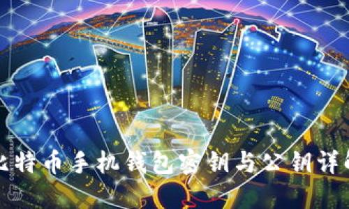 比特币手机钱包密钥与公钥详解