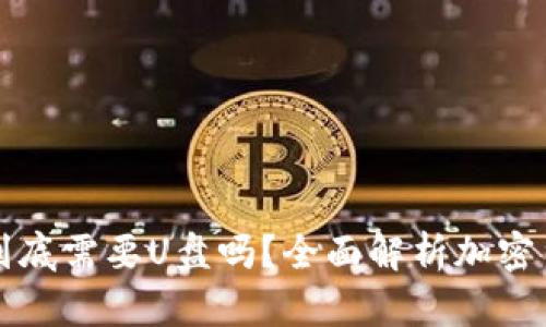 比特币钱包到底需要U盘吗?全面解析加密货币存储方式