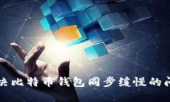 解决比特币钱包同步缓慢