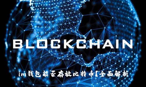 im钱包能否存放比特币？全面解析