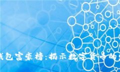 比特币钱包富豪榜：揭示