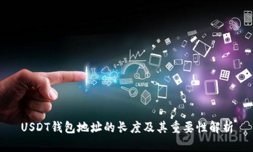 USDT钱包地址的长度及其重要性解析