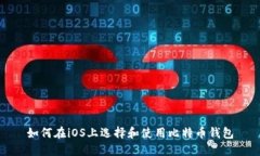 如何在iOS上选择和使用比