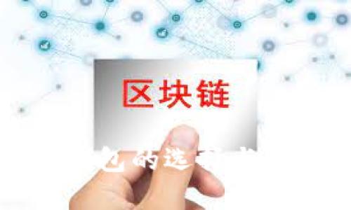 比特币钱包的选择与使用指南