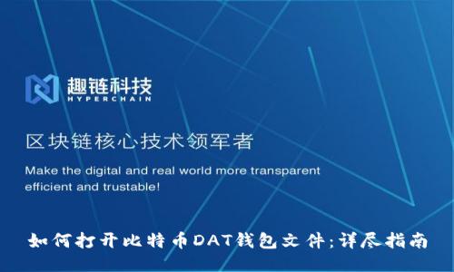 如何打开比特币DAT钱包文件：详尽指南