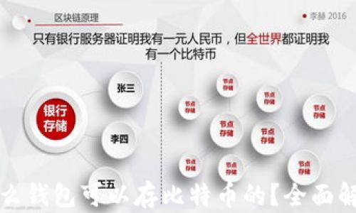 什么钱包可以存比特币的?全面解析
