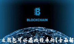 什么钱包可以存比特币的