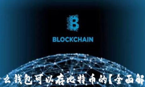 什么钱包可以存比特币的?全面解析