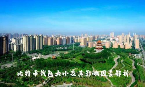 比特币钱包大小及其影响因素解析