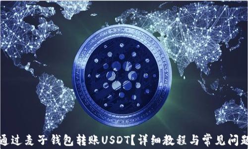 
如何通过麦子钱包转账USDT？详细教程与常见问题解答