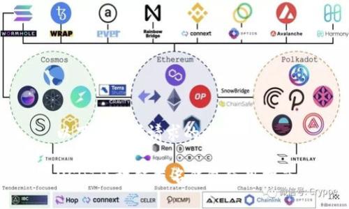 以下是您所请求的内容：

USDT区块链匿名钱包使用指南