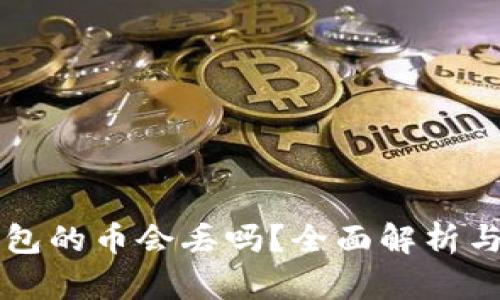 区块链钱包的币会丢吗？全面解析与实用指南